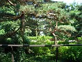 Botanical Gardens 2010 0420